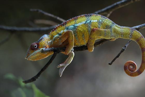 Übernachtung im Zoo - Tolles Zoo-Abenteuer bei Nacht 2 