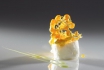 Show culinaire avec Denis Martin - 1h30 de démonstration & dégustation d'un menu de 20 plats / 1 pers 