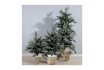 Weihnachtsbaum - 60cm 