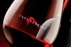 Dégustation de vin pour deux - Cave Ardevaz (VS) avec apéritif & bouteille offerte 4