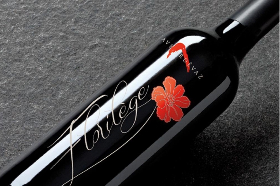 Dégustation de vin pour deux - Cave Ardevaz (VS) avec apéritif & bouteille offerte 5 