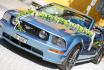 Ford Mustang GT Cabriolet - 1 Tag Muscle Car fahren 