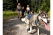 Schlittenhunde Wanderung (FR) - Trekking mit Husky Begleitung 1