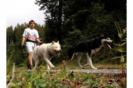 Cani-Rando - Sortie sportive avec des Huskys 3 