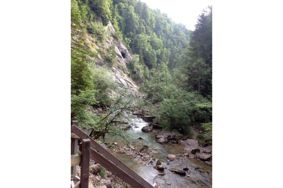 Cani-Rando - Sortie sportive avec des Huskys 4 