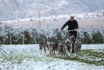 Husky Wagenfahrt (FR) - Wanderung mit Gespann 4