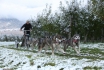 Husky et Kart - Randonnée avec attelage 5