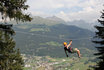 Séjour aventure aux Grisons - incl. nuits et parc aventure 