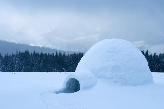 Construction d'igloo + aperitif - Adelboden 1  Construction d'igloo + aperitif - Adelboden 1