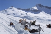 Schneeschuhwanderung - mit Raclette & Brot a discrétion für 1 Person 2