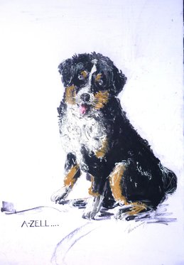 Witziges Portrait als Geschenk - Wunschbild selber zeichnen lassen 3 