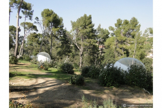 Bubble-Suite - Nacht unter den Sternen 8 