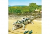 Alligator mit Babys - Playmobil® Freizeit - 6644 1