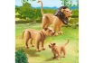 Löwenfamilie - Playmobil® Freizeit - 6642 2