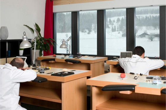 Cours d'initiation à l'horlogerie - Avec assemblage d'un mouvement mécanique suisse  7 