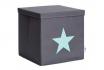 Ordnungsboxen mit Deckel - mit grünem Stern 1