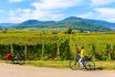 E-Bike Tour (FR) - und Weindegustation 