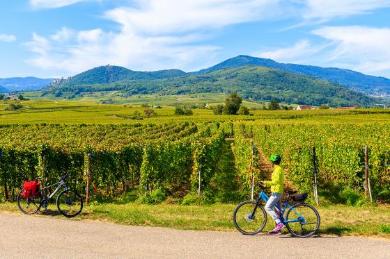 Wine-Tour à 5 - Vélo électrique & dégustation de vins  