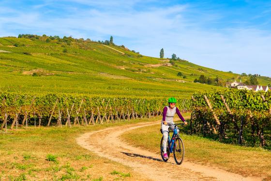 Wine-Tour à 5 - Vélo électrique & dégustation de vins 1 