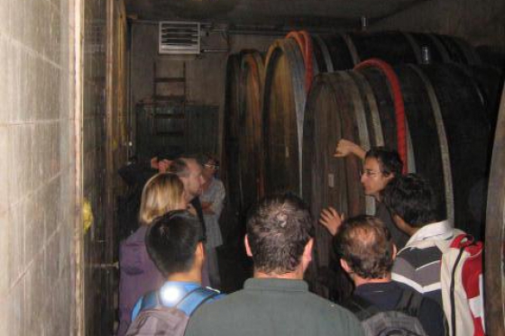 Wine-Tour à 5 - Vélo électrique & dégustation de vins 2 