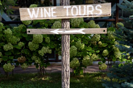 Wine-Tour à 5 - Vélo électrique & dégustation de vins 3 