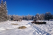 Séjour Far West au Bison Ranch - Au Près d'Orvin - 1 nuitée pour 2 pers avec petit-déjeuner 4