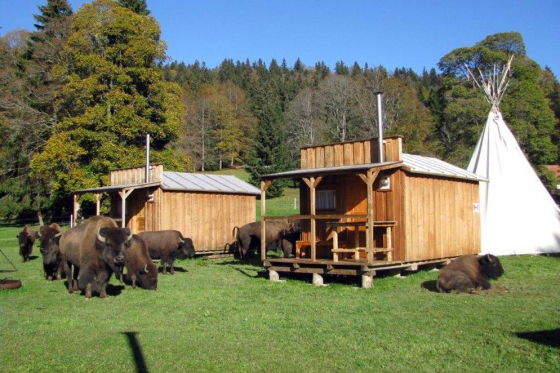 Séjour Far West au Bison Ranch - Au Près d'Orvin - 1 nuitée pour 2 pers avec petit-déjeuner   Séjour Far West au Bison Ranch - Au Près d'Orvin - 1 nuitée pour 2 pers avec petit-déjeuner