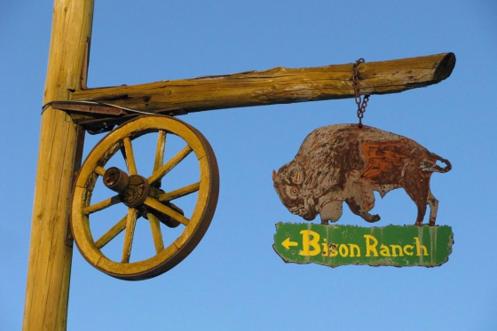 Séjour Far West au Bison Ranch - Au Près d'Orvin - 1 nuitée pour 2 pers avec petit-déjeuner 1  Séjour Far West au Bison Ranch - Au Près d'Orvin - 1 nuitée pour 2 pers avec petit-déjeuner 1