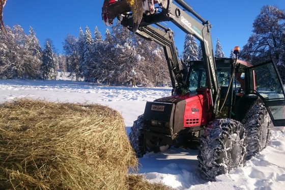 Séjour Far West au Bison Ranch - Au Près d'Orvin - 1 nuitée pour 2 pers avec petit-déjeuner 5  Séjour Far West au Bison Ranch - Au Près d'Orvin - 1 nuitée pour 2 pers avec petit-déjeuner 5