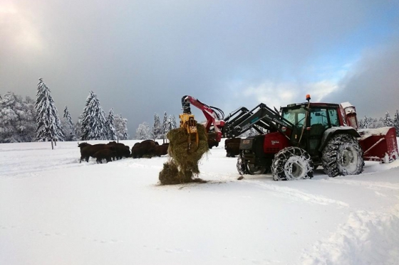Séjour Far West au Bison Ranch - Au Près d'Orvin - 1 nuitée pour 2 pers avec petit-déjeuner 6  Séjour Far West au Bison Ranch - Au Près d'Orvin - 1 nuitée pour 2 pers avec petit-déjeuner 6