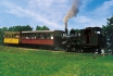 Voyage en train à vapeur sur le Rigi - sur la Reine des Montagnes (avec abonnement demi-tarif CFF) 1