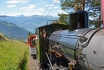 Voyage en train à vapeur sur le Rigi - sur la Reine des Montagnes (avec abonnement demi-tarif CFF) 2