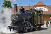 Voyage en train à vapeur sur le Rigi - sur la Reine des Montagnes (avec abonnement général CFF) 4