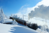 Winter-Dampffahrt auf die Rigi - Nostalgische Bergbahnfahrt ab Vitznau (Personen mit Halbtax-Abo)