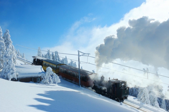 Winter-Dampffahrt auf die Rigi - Nostalgische Bergbahnfahrt ab Vitznau (Personen mit Halbtax-Abo)  