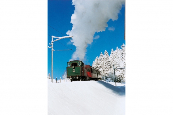 Winter-Dampffahrt auf die Rigi - Nostalgische Bergbahnfahrt ab Vitznau (Personen mit Halbtax-Abo) 1 