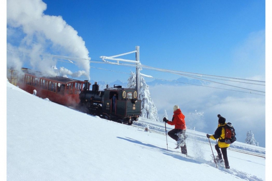 Winter-Dampffahrt auf die Rigi - Nostalgische Bergbahnfahrt ab Vitznau (Personen mit Halbtax-Abo) 2 