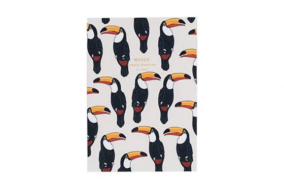 Carnet de notes avec motifs - avec des toucans  