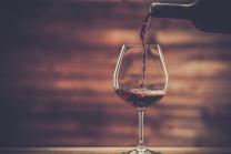 Wein Seminar Basis 2 - das Know-how Plus für Weingeniesser
