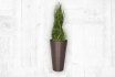 Vase pour plantes   - avec doublure en plastique pour la plantation 