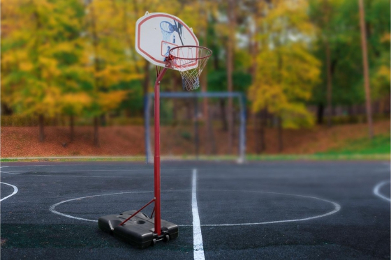 Basketballständer - Höhenverstellbar bis 260cm 2 