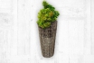 Vase pour plantes - avec doublure en plastique pour la plantation 