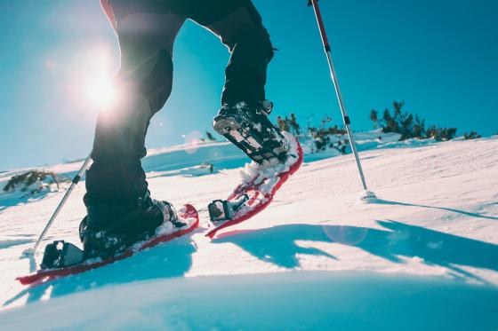 Schneeschuhtour - für Geniesser 2 