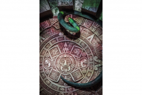 Escape Room - avec des énigmes personnalisées, 60 minutes pour 6 personnes 11  Escape Room - avec des énigmes personnalisées, 60 minutes pour 6 personnes 11