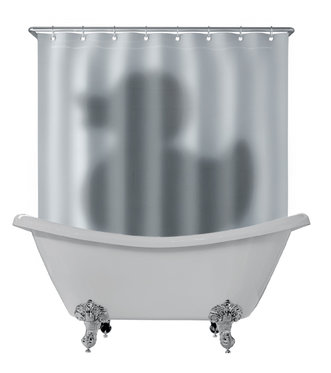 Duschvorhang - Schatten der Ente  