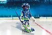 NHL® Vancouver Canucks® Goalie - Playmobil® Playmobil NHL ® Playmobil NHL 9026 1