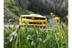 Chevy Camaro Bumblebee 6.2 V8 - 1 Tag mieten für 4 Personen, inkl. 300km 1