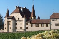 Weindegustation für zwei  - Besuch der Cave des Lauriers inkl. Apero und 1 gratis Flasche 