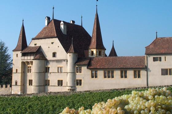 Dégustation de vin pour deux - Cave des Lauriers (NE) avec visite, apéro et 1 bouteille offerte   Dégustation de vin pour deux - Cave des Lauriers (NE) avec visite, apéro et 1 bouteille offerte