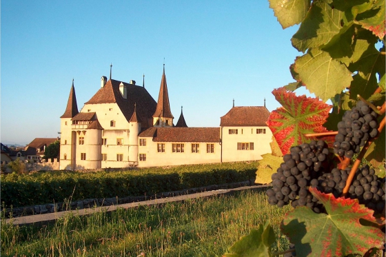 Dégustation de vin pour deux - Cave des Lauriers (NE) avec visite, apéro et 1 bouteille offerte 1  Dégustation de vin pour deux - Cave des Lauriers (NE) avec visite, apéro et 1 bouteille offerte 1